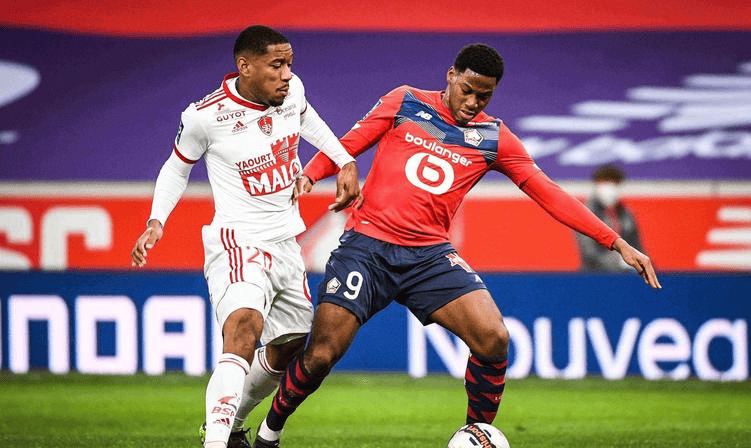 加触手可及 加触手可及