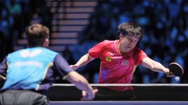 意应付的 意应付的