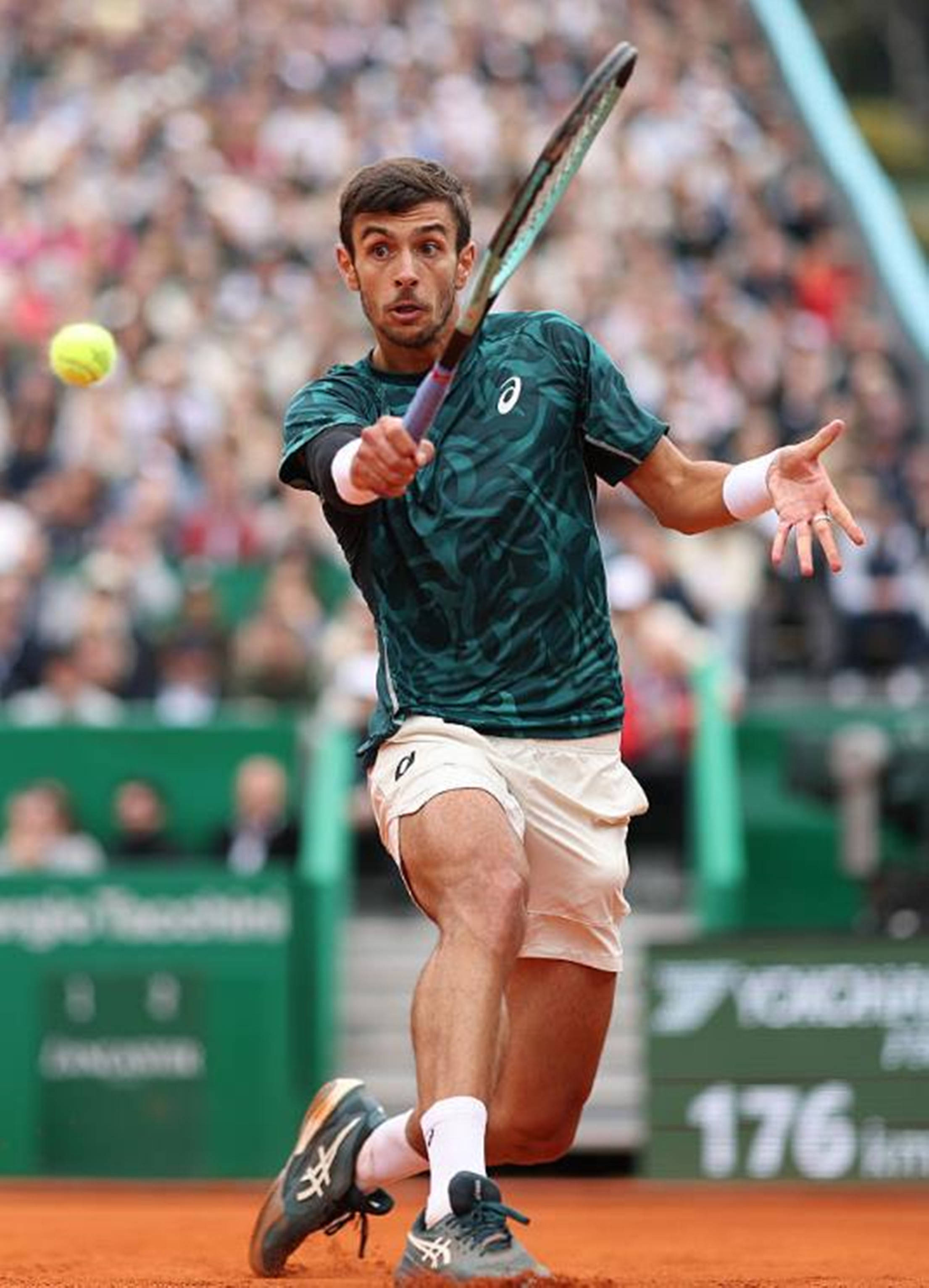 更是被外界 更是被外界