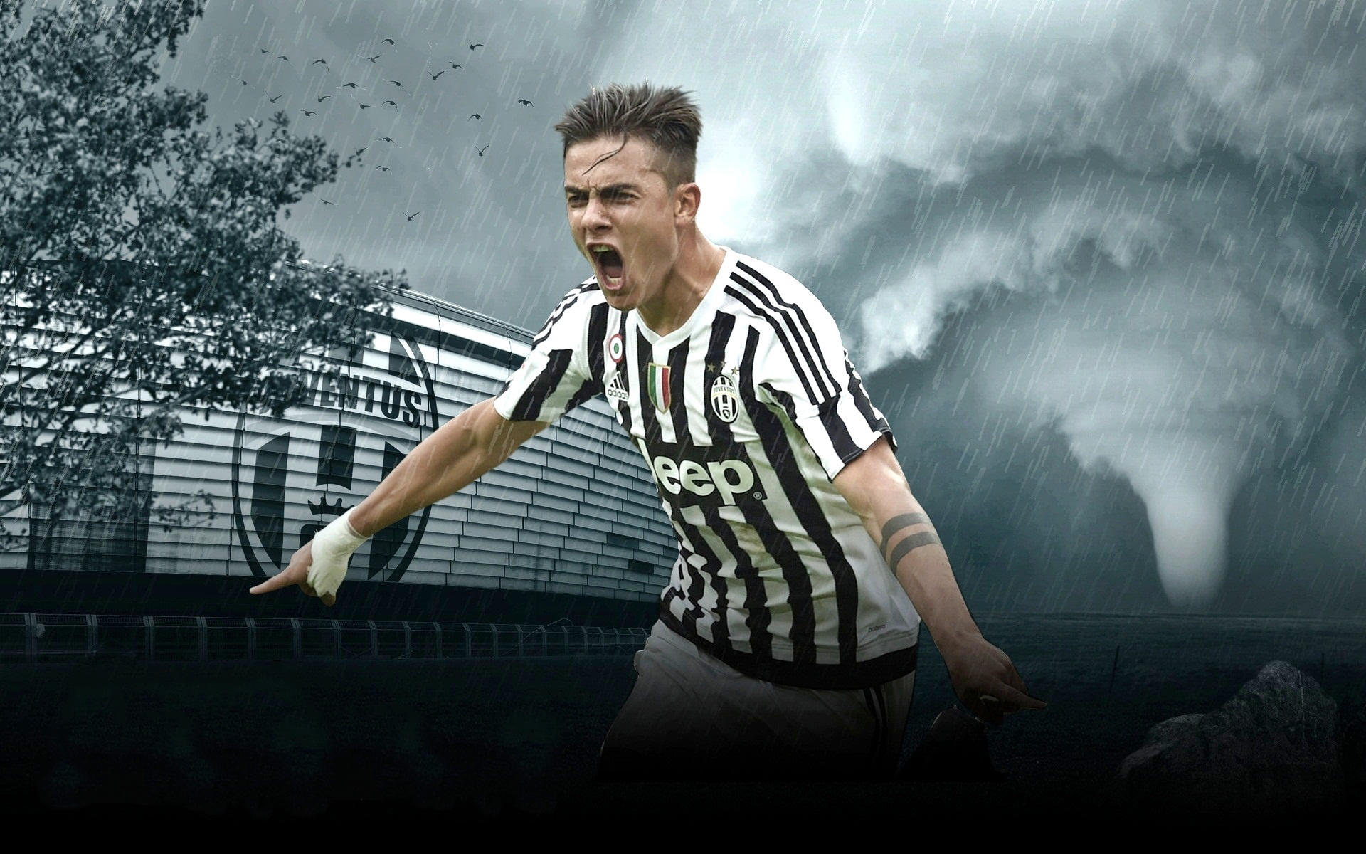 耐心与执行 耐心与执行