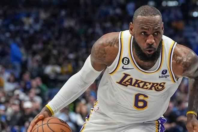 中卫谱系里 中卫谱系里